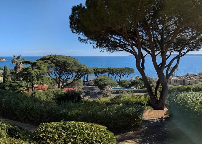 2 Pieces Climatise, Vue Mer, Sainte-maxime - Fr-1-780-97 *